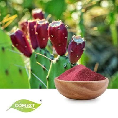 Cactus Fruit Powder by Comext