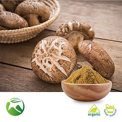 Organic Shiitake Mushroom Extract 50% Polysaccharides (10:1) by Xi'an Herbs Valley