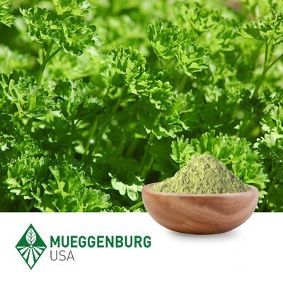 Parsley Leaf, Powder by Mueggenburg USA