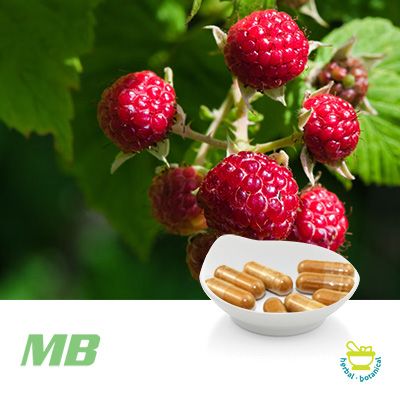 Raspberry Ketone Ultra Capsules by MB Supplements